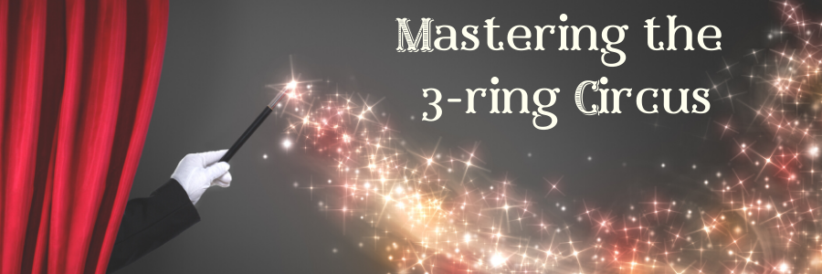 3-Ring Circus long banner