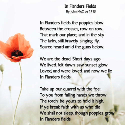 In Flanders Fields - Poppies